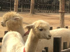 -南昌动物园
