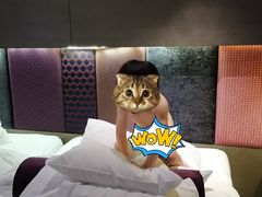 -南京禄口机场雅高铂尔曼大酒店