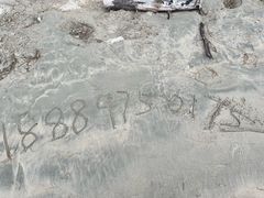 -恒兴发茶店(水巷口店)