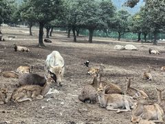 -西安秦岭野生动物园