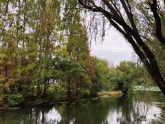 -昆山城市生态森林公园