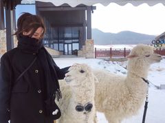 -长白山华美胜地滑雪场