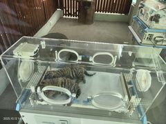 -宁波野生动物园