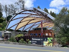 -怀托摩萤火虫洞