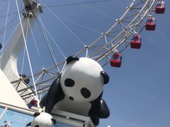 -天津之眼摩天轮