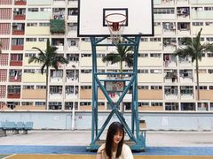 -彩虹村