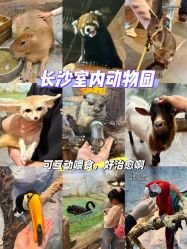 -Zoolung Zoolung动物主题公园(海信广场店)
