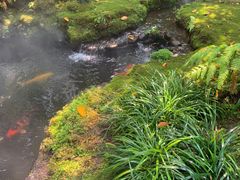 -Chom Cafe and Restaurant