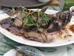 -四姑娘川味海鲜(八爪鱼店)