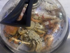 -半岛听涛蒸汽海鲜自助(K11店)