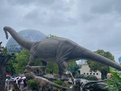 -陕西自然博物馆