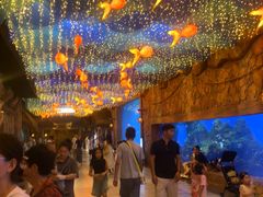 -华夏文旅海洋公园