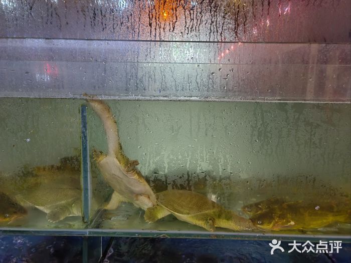小涛炖鱼(文安分店)图片