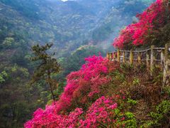 -木兰云雾山