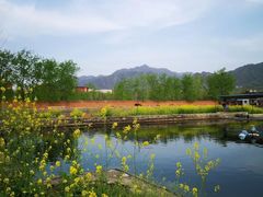 -秦岭风景区