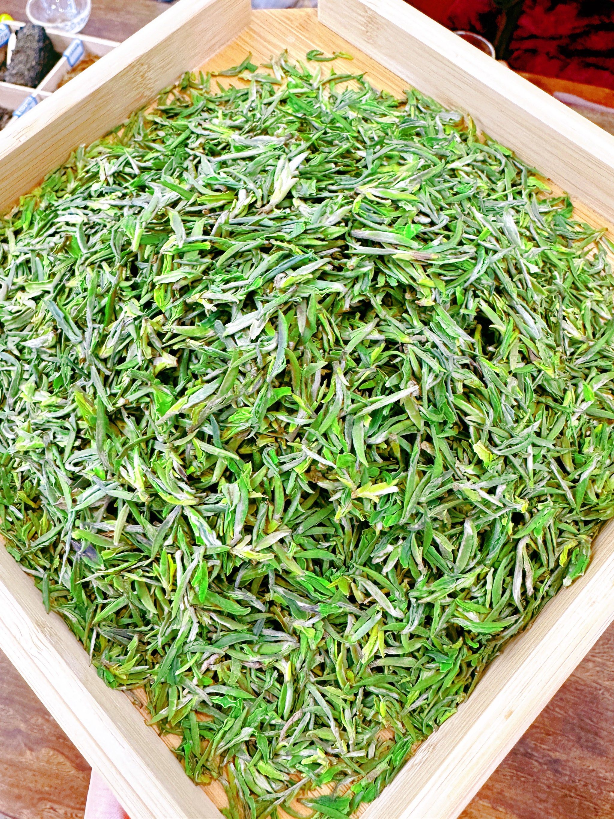 老茶客茶庄家的汉中仙毫2024年第一仙