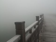 -淇河金沙滩