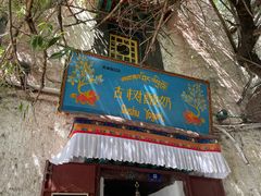 -古树酸奶(八廓南街店)