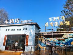 -丁老爷子苏香圆