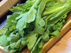 -蝎王府羊蝎子(西直门店)