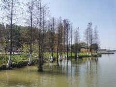 -海珠湖公园