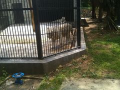 -广东茂名森林公园