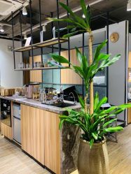 -Mentor Hair Salon