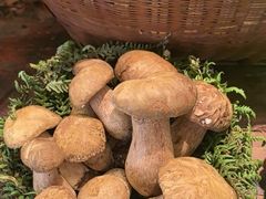 -滇铺子·云南特色菜·第九届野生菌美食节(曲靖万达店)