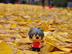 -百林公园-两江幸福广场