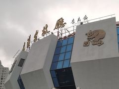 -武汉杂技厅