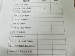 -睿金宠物医院·CT·肿瘤·骨外科