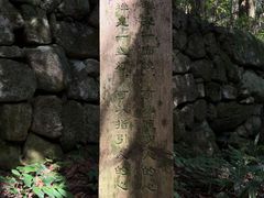-天目山大树王景区