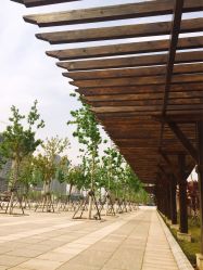 -大连市妇女儿童医疗中心