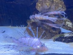 -梦幻海洋王国(吾悦广场张家港店)