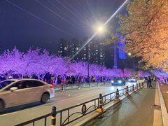 -西北湖绿化广场