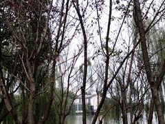 -洪湖悦兮半岛国际温泉度假村