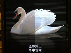 -武商摩尔影城(国广IMAX激光店)
