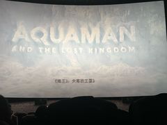 -星河寰宇IMAX影城(星河WORLD·COCO Park店)