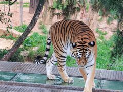 -云南野生动物园