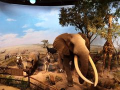 -陕西自然博物馆