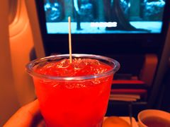-新加坡航空公司(ION)
