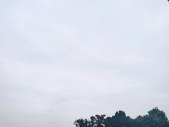 -上海月湖雕塑公园