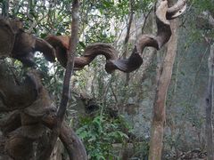 DSC02729-三亚亚龙湾人间天堂鸟巢度假村