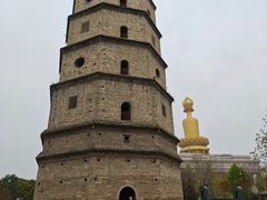 -兴隆文化园景区-兖州博物馆