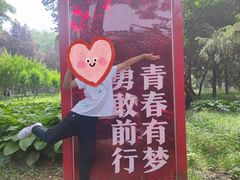 -玲珑塔公园
