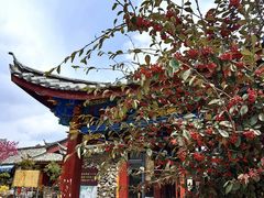 -玉湖村
