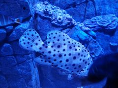 -成都浩海立方海洋公园