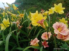 -仙海旅游度假区