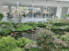 -罗红摄影艺术馆