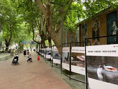 -西安电影制片厂